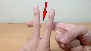 5 Magic Tricks That You Can Do [upl. by Noj]