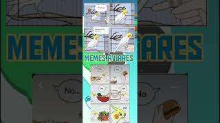 Memes aviares 19 🦜🥜 memes aves risas shorts [upl. by Kemme]