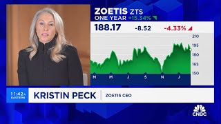 Zoetis CEO Kristin Peck on CNBCs Money Movers Q4 and FY 2023 Financial Results [upl. by Sension]