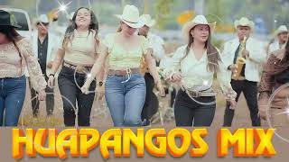 HUAPANGOS Pa BAILAR 🔥Popurri De Huapangos🔥cumbias para bailar 🔥Los Avila La Kumbre Con K Los Rugar [upl. by Judye]