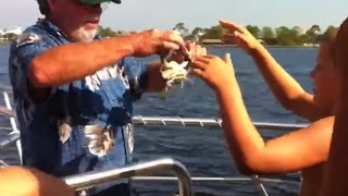 Boy gets pinched by crab on boat  funny [upl. by Beitris]