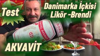 AALBORG TAFFEL AKVAVIT DANİMARKANIN ŞNAPSININ TESTİ LİKÖRBRENDİ BALYOZ GİBİ BİR İÇKİ ŞAŞIRDIM [upl. by Aradnahc558]