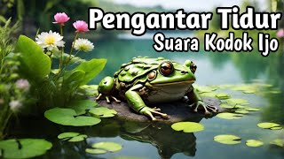 SUARA KODOK SAWAH PENGANTAR TIDUR [upl. by Aelat326]