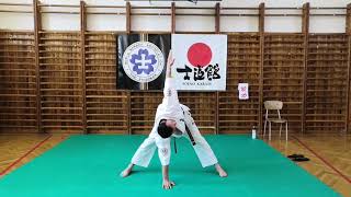 Okami Team 士道館  online training Shidokan Karate Vrchlabí a Rudník 5 [upl. by Assirahs684]