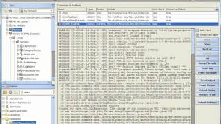 How to Use the Niagara Framework® RDBMS Driver [upl. by Ruella]