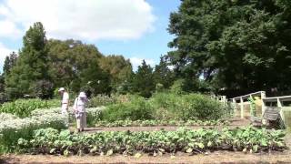 Longwood Gardens  Vegetable Garden [upl. by Nitsid]