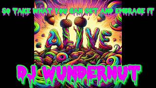 DJ WunderNut Alive [upl. by Allak753]