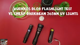 Wurkkos DL08 Flashlight Test Vs Cheap Darkbeam 365nm UV Lights [upl. by Deirdra138]