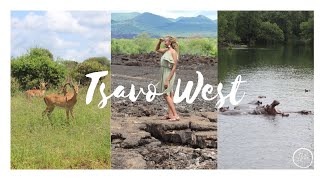 Tsavo West National Park Kenya A Unique Safari Experience [upl. by Ontina]