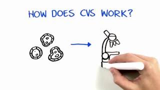 Chorionic Villus Sampling CVS [upl. by Mack885]