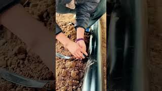 Irrigation water pipe joint installation process [upl. by Anitap738]