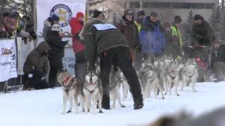 Yukon Quest 2016 International Sled Dog Race [upl. by Ellett]