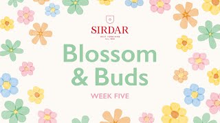 Sirdar Blossom amp Buds Crochet Along Week 5  In Full Bloom [upl. by Ydoow48]