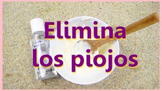 Como eliminar los piojos  Remedio para Piojos y liendres [upl. by Demmahum]