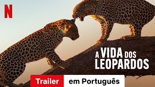 A Vida dos Leopardos  Trailer em Português  Netflix [upl. by Natam500]