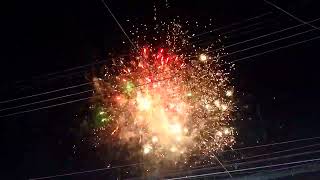 LEEGENDARY FIREWORKS quotBORACAYquot 150 SHOTS  DRAGON FIREWORKS 16 SHOTS quotTREE LIFEquot diwali trend [upl. by Nary100]