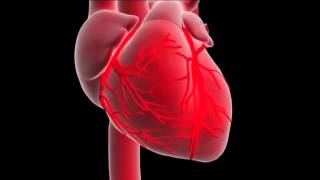 What is a myocardial infarction or heart attack [upl. by Odlanar]