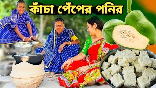 বিনা দুধে ১টা পেঁপে দিয়ে যে এত সুন্দর পনির বানানো যায় না দেখলে বিশ্বাসই হবে না village cooking [upl. by Iknarf]