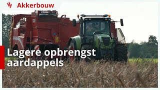 Aardappels rooien flink lagere opbrengst [upl. by Bohi]