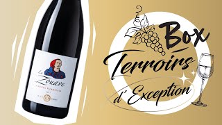 Crozes Hermitage Rouge 2017 quot Le Zouave quot Domaine Esprit [upl. by Martelli27]