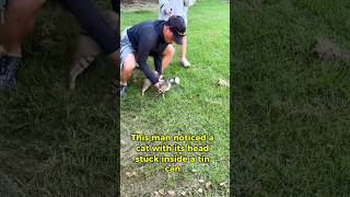 This Cat’s Head Was Stuck in a Tin Can and You Won’t Believe What Happened Next😍❤️ cat rescue [upl. by Abbate]