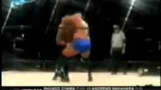 Matt Morgan  HellevatorVertical suplex side slam [upl. by Burton]