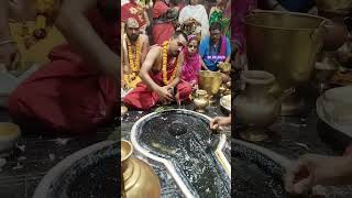 30042024 Baba Baidyanath Ji Ka Darshan ram shiv shiva youtube youtubeshorts ytshorts viral [upl. by Atteynod]