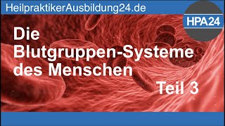 Blutgruppen des Menschen Teil 3 [upl. by Gottuard]