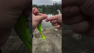 Stylo canne a pêche  fishingvideo fishing pecheur [upl. by Panaggio]