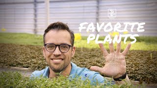 George Farmer TOP 5  Favorite and beginner friendly Tropica Aquarium Plants [upl. by Ardnu]