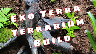 Exo Terra Terrarium step by step The Old Tree [upl. by Douty]