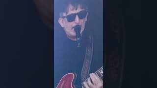 Lightning seeds live ￼ Hardwick Festival 2024 ￼LiveMusic LightningSeeds HardwickFestival [upl. by Knah]