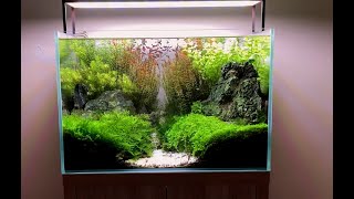 How to build an Aquascaped 60CM Planted Tank [upl. by Enoved257]