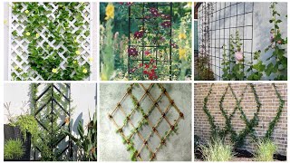 Trellis Dreams Inspiring Designs for Your Outdoor Oasis [upl. by Yromas]