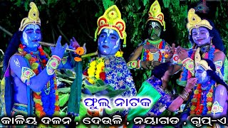 ସମ୍ପୂର୍ଣ୍ଣ କଳୀୟ ଦଳନ  Kaliya dalana  kalia dalana  kali dahana  krushnalila  Deuli [upl. by Adnamma]