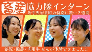 山奥での畜産実習！ 農学部生の濃い2週間【協力隊インターン】岩手県 岩泉町 [upl. by Yttisahc]