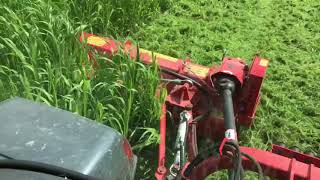 Del Morino flail mower [upl. by Hardwick]