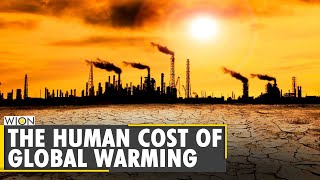 Study Global warming leads to 1 in 3 heatrelated deaths worldwide  Climate Change  World News [upl. by Thorma]