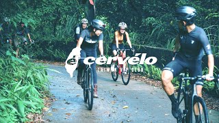 【Cervelo】Caledonia5 與Aspero 騎乘感  Cervelo車主告訴你  直闖台灣桶後林道  Gravel Bike [upl. by Leahey889]