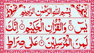 Surah Yaseen  Yasin Sharif  Episode 584  With Arabic Text HD  Read Daily Quran [upl. by Kameko]