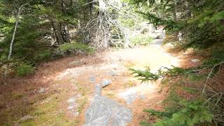 East Gilford Trail to Belknap Mountain [upl. by Yras]