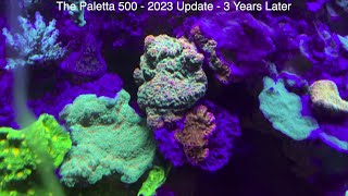 Paletta 500 Gallon Reef Tank  2023 Update  3 Years Later [upl. by Darby995]