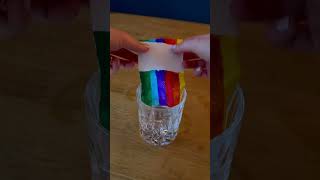 Experiment Wachsender Regenbogen shorts kindergarten kidsactivities science funforkids [upl. by Conrado]