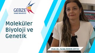 2023 Tercih Dönemi Bölüm Bşk ile Röp Moleküler Biyoloji ve Genetik Prof Dr Yelda ÖZDEN ÇİFTÇİ [upl. by Atekan]