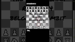 tal vsavarbakh 1954chess شطرنج belgradegambit sacrifice grandmaster tactics  25p1 [upl. by Haissi616]