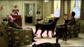 Dobermans in movie  16 part 2  Доберманы в кино [upl. by Eifos]