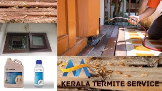 Termites solution  Treatment  Pest Contol Service  General Pest Control  Kerala  Service Call [upl. by Anaya]