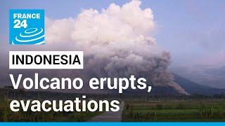 Indonesias Mount Semeru volcano erupts prompting evacuations • FRANCE 24 English [upl. by Willtrude]