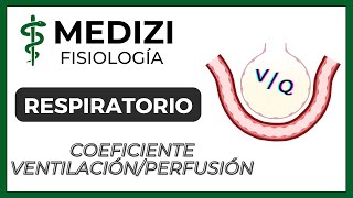 Clase 40 Fisiología Respiratoria  Coeficiente Ventilación Perfusión VQ IGdoctorpaiva [upl. by Dnomal]