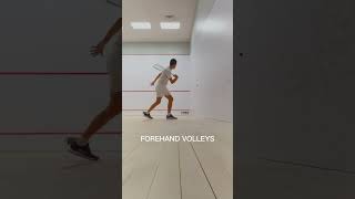 Forehand volleys asmr squashlife [upl. by Belamy128]